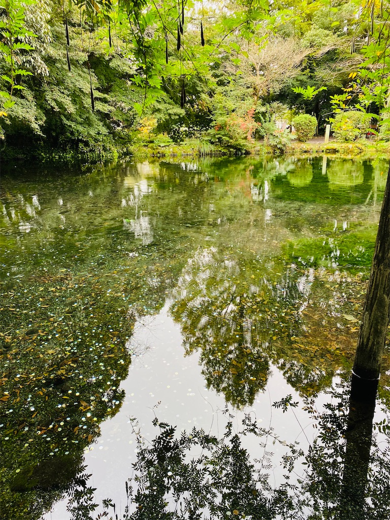 f:id:yukix03:20251103145413j:image