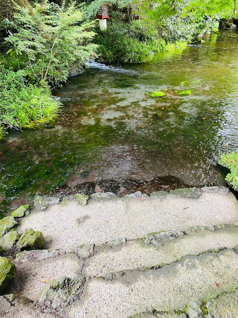 f:id:yukix03:20251103145445j:image