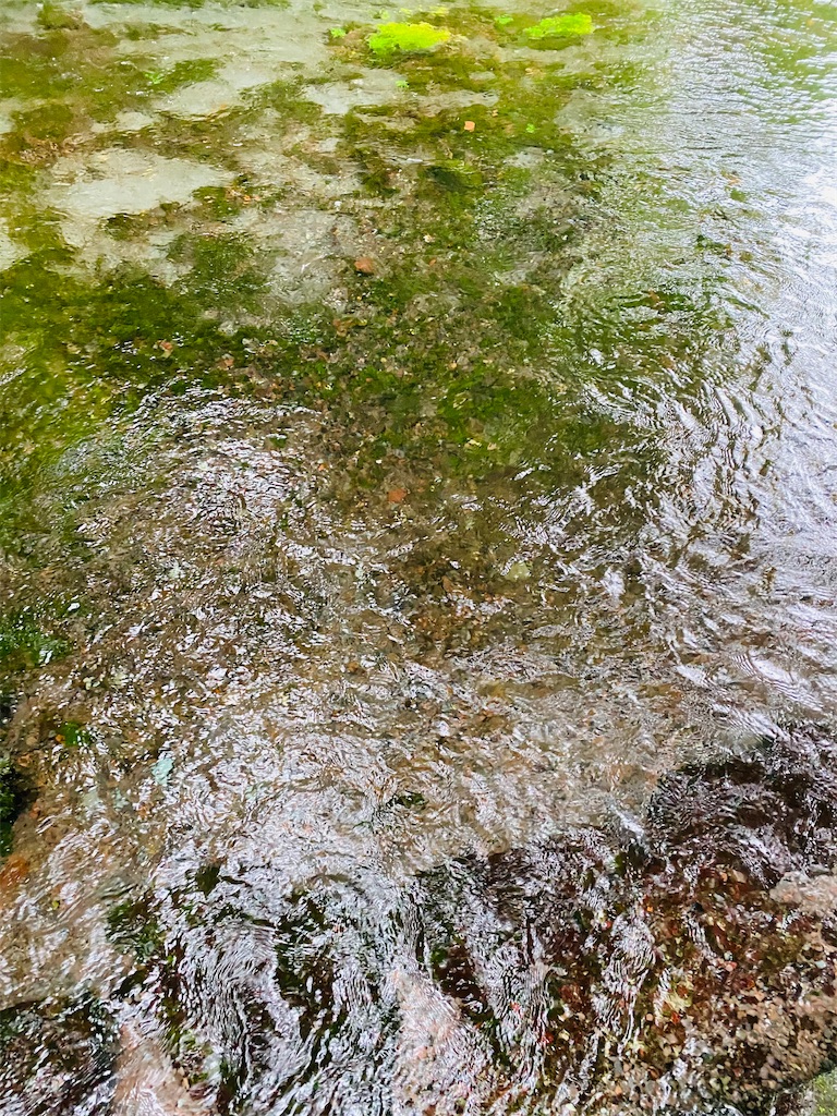 f:id:yukix03:20251103145449j:image