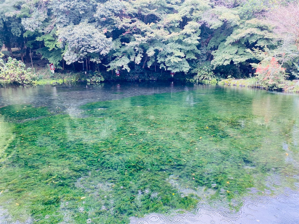 f:id:yukix03:20251103145503j:image