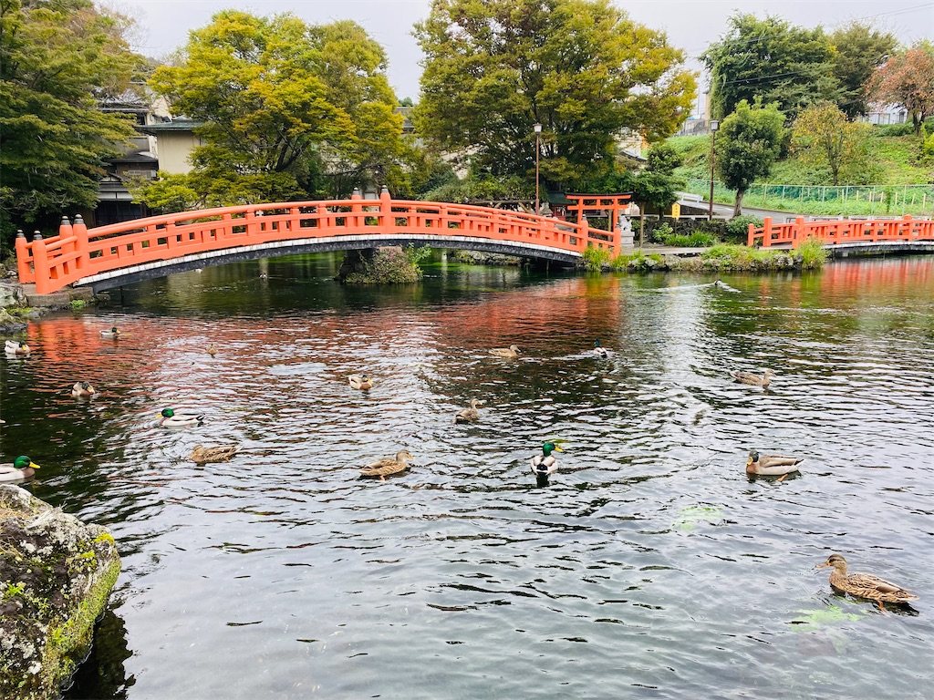 f:id:yukix03:20251103145603j:image