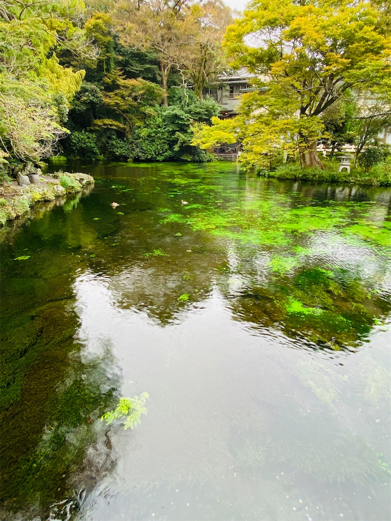 f:id:yukix03:20251103145608j:image