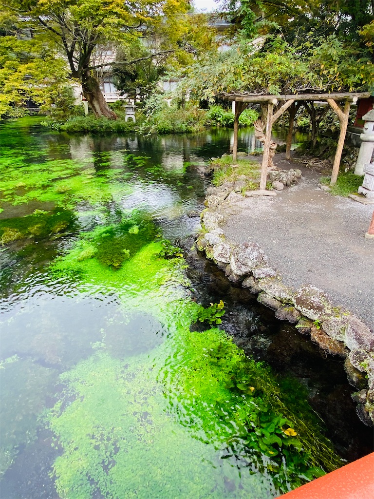 f:id:yukix03:20251103145640j:image