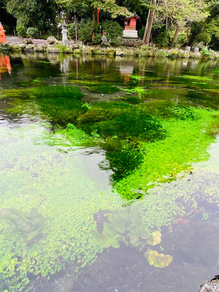 f:id:yukix03:20251103145735j:image