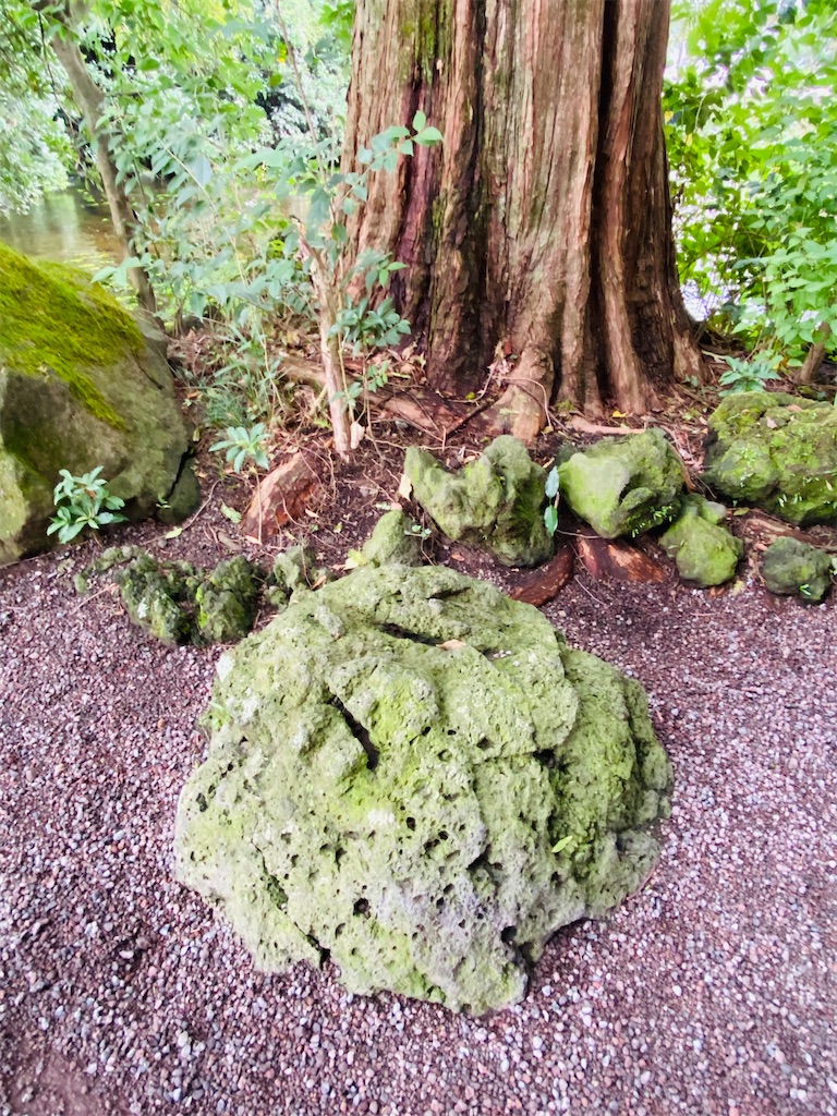 f:id:yukix03:20251103145753j:image