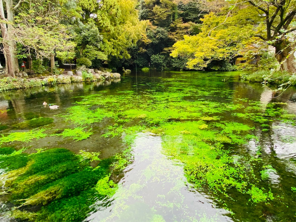 f:id:yukix03:20251103145823j:image