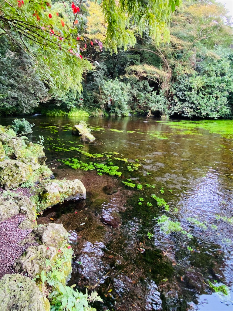 f:id:yukix03:20251103145906j:image