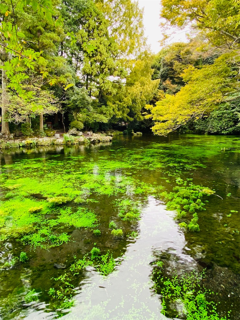 f:id:yukix03:20251103150054j:image