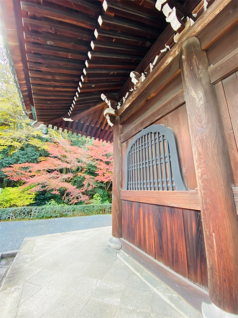 f:id:yukix03:20251206234103j:image