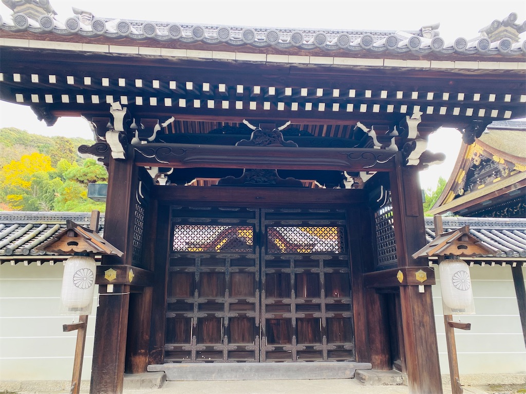 f:id:yukix03:20251206234329j:image