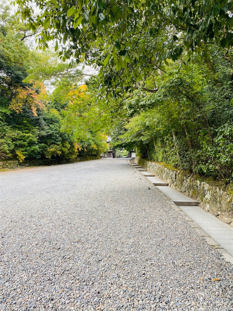 f:id:yukix03:20251206234540j:image