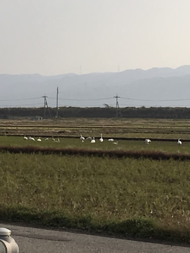 f:id:yukiya724:20181112160505j:plain f:id:yukiya724:20181112160505j:plain
