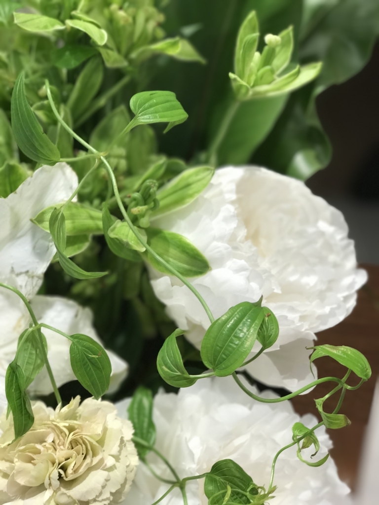 f:id:yukiyamamoto:20180711083022j:plain