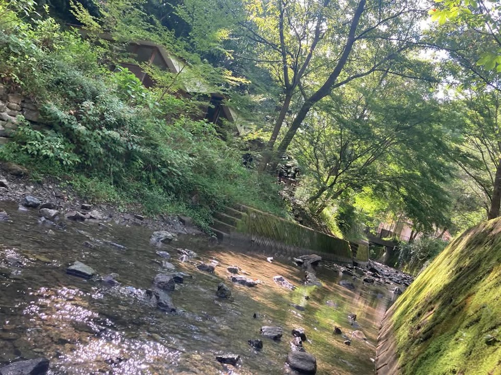 f:id:yukiyoj:20250412174906j:image f:id:yukiyoj:20250412174906j:image