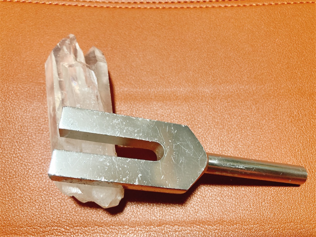 f:id:yukiyoj:20250412174928j:image f:id:yukiyoj:20250412174928j:image