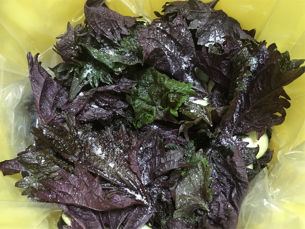 f:id:yukiyuki21:20180703221402j:image f:id:yukiyuki21:20180703221402j:image