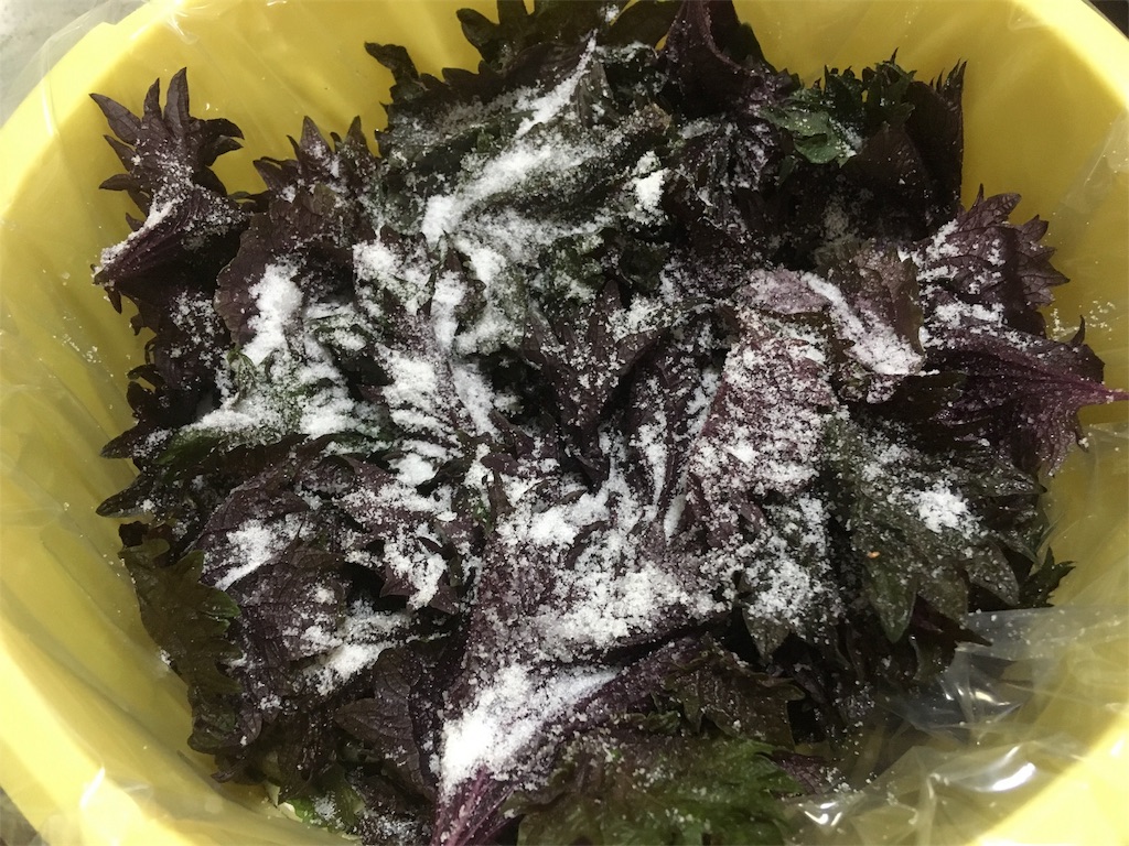 f:id:yukiyuki21:20180703221422j:image f:id:yukiyuki21:20180703221422j:image