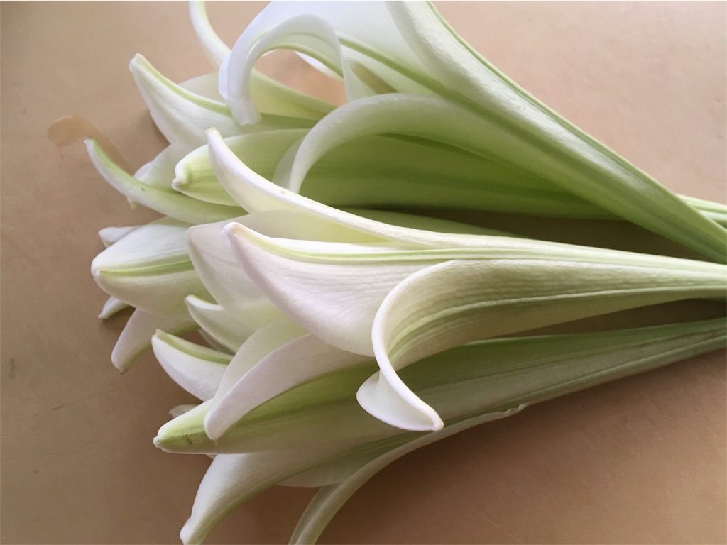 f:id:yukiyuki21:20180820114723j:image f:id:yukiyuki21:20180820114723j:image