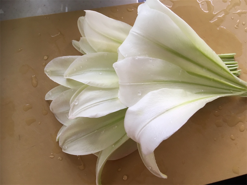 f:id:yukiyuki21:20180820114736j:image f:id:yukiyuki21:20180820114736j:image