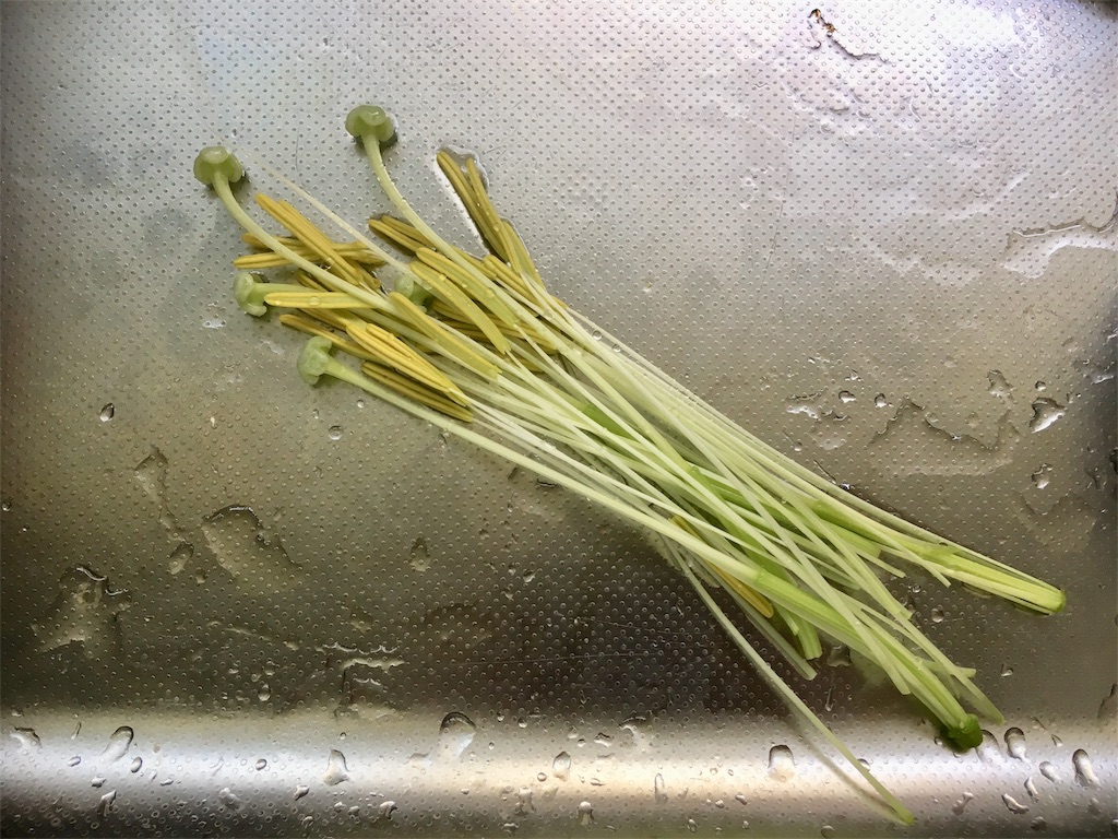 f:id:yukiyuki21:20180820114748j:image f:id:yukiyuki21:20180820114748j:image