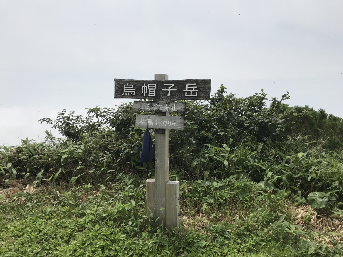f:id:yukiyukiyuki1203:20200216202832j:plain