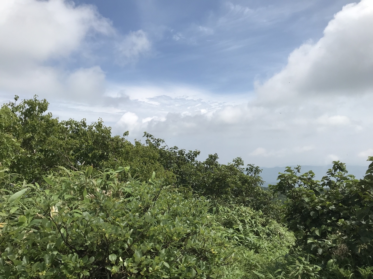 f:id:yukiyukiyuki1203:20200218214848j:plain f:id:yukiyukiyuki1203:20200218214848j:plain