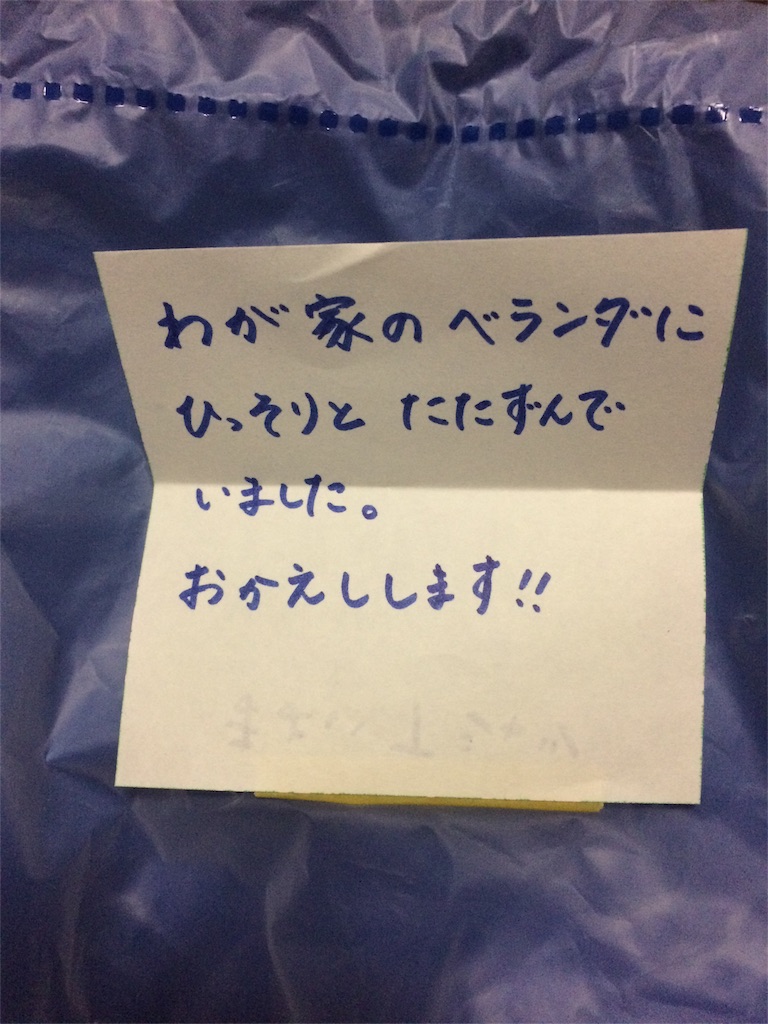 f:id:yukke5882:20160321025345j:image f:id:yukke5882:20160321025345j:image