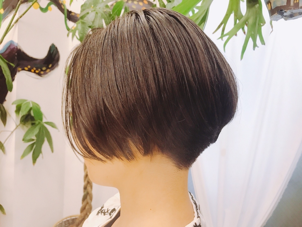 f:id:yukke5882:20170904143922j:plain f:id:yukke5882:20170904143922j:plain