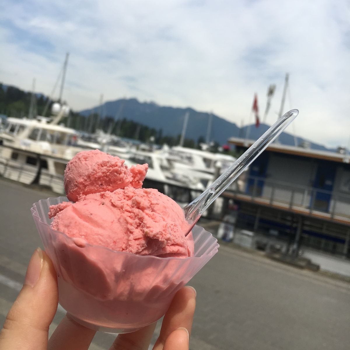 f:id:yukki-couver:20190512231133j:plain