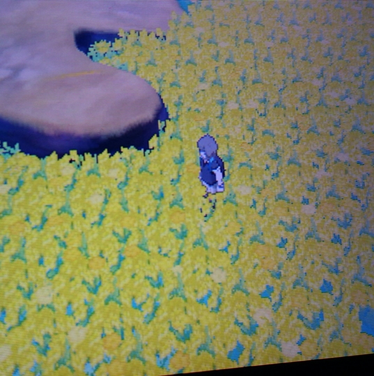 f:id:yukki1127:20170114113618j:plain:w400