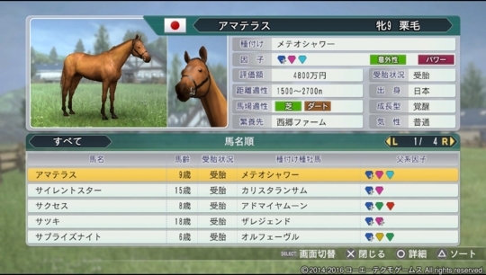 f:id:yukki1127:20180513092225j:plain