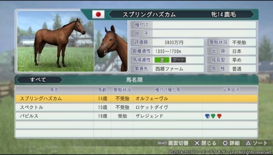 f:id:yukki1127:20180513093547j:plain