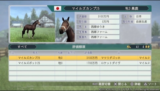 f:id:yukki1127:20180517200057j:plain