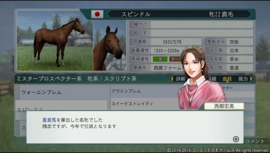 f:id:yukki1127:20180528083222j:plain