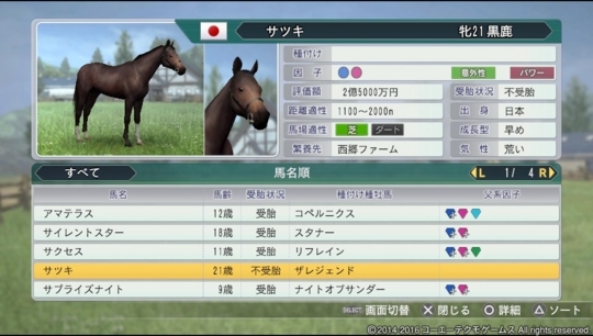 f:id:yukki1127:20180530084958j:plain