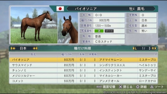 f:id:yukki1127:20180606154304j:plain