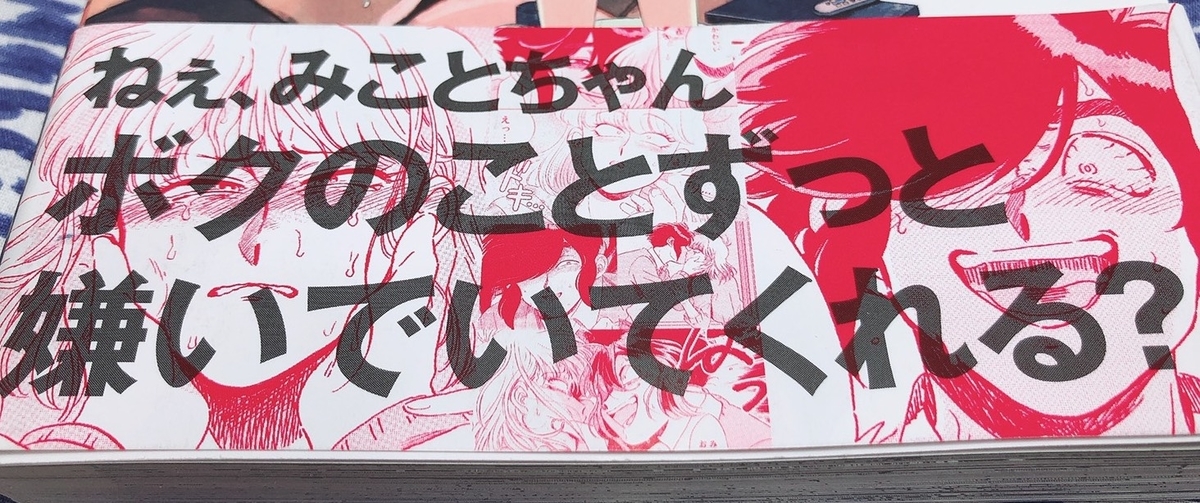 f:id:yukki_tkmr:20190705110055j:plain