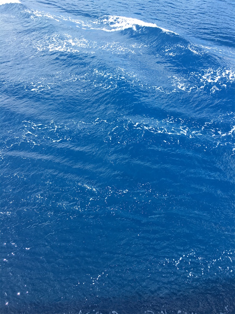f:id:yukki_yuzen666:20201022085453j:image f:id:yukki_yuzen666:20201022085453j:image