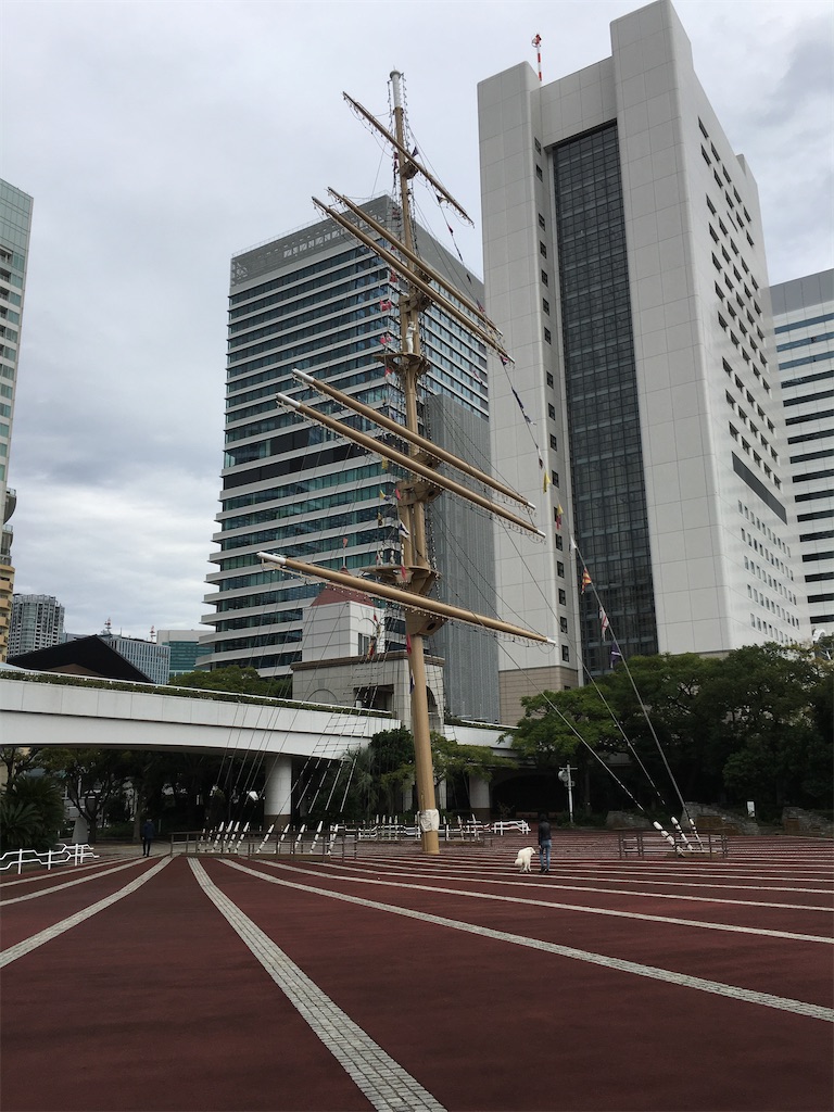 f:id:yukki_yuzen666:20201022091147j:image f:id:yukki_yuzen666:20201022091147j:image