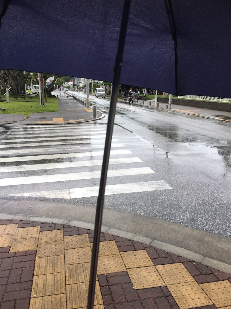 f:id:yukki_yuzen666:20201023205909j:image f:id:yukki_yuzen666:20201023205909j:image