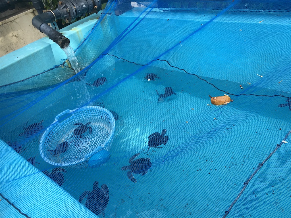 f:id:yukki_yuzen666:20201231135954j:image f:id:yukki_yuzen666:20201231135954j:image