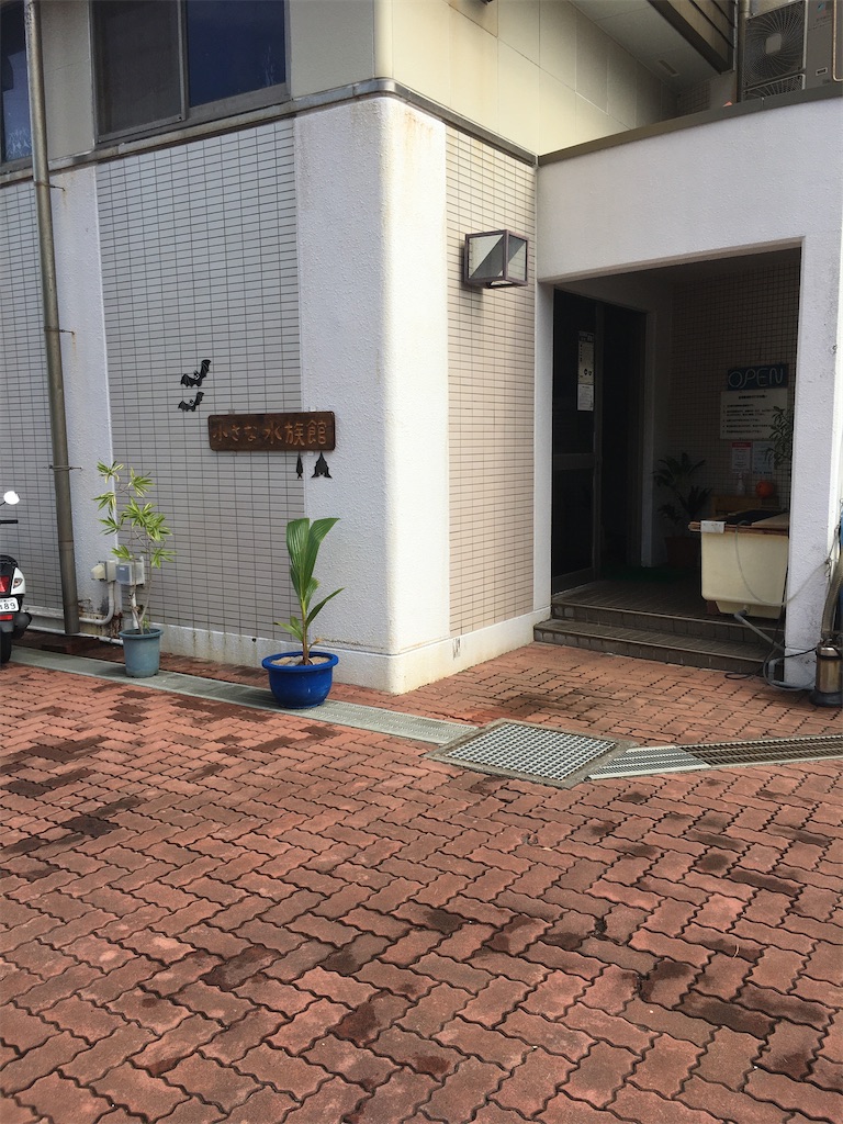 f:id:yukki_yuzen666:20201231140511j:image f:id:yukki_yuzen666:20201231140511j:image