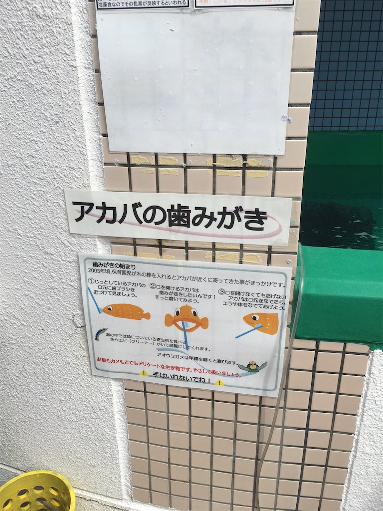 f:id:yukki_yuzen666:20201231140714j:image f:id:yukki_yuzen666:20201231140714j:image