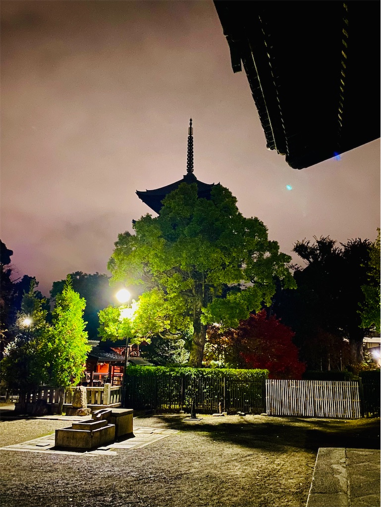 f:id:yukkiestar:20231126155758j:image f:id:yukkiestar:20231126155758j:image