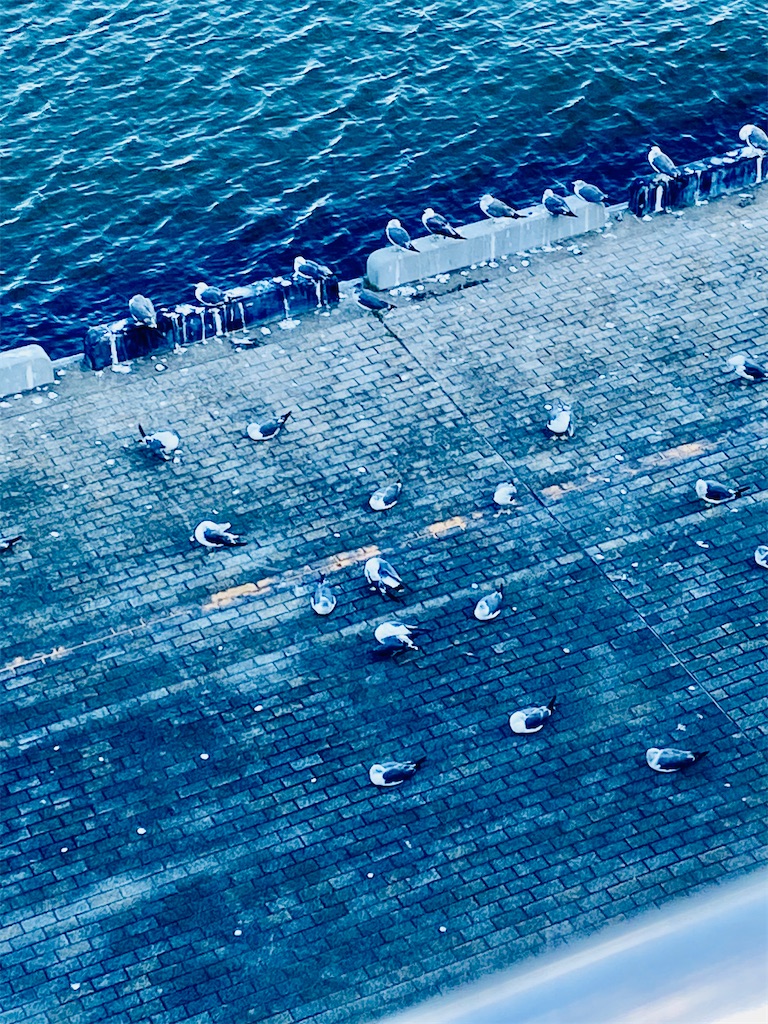 f:id:yukkiestar:20250830135934j:image