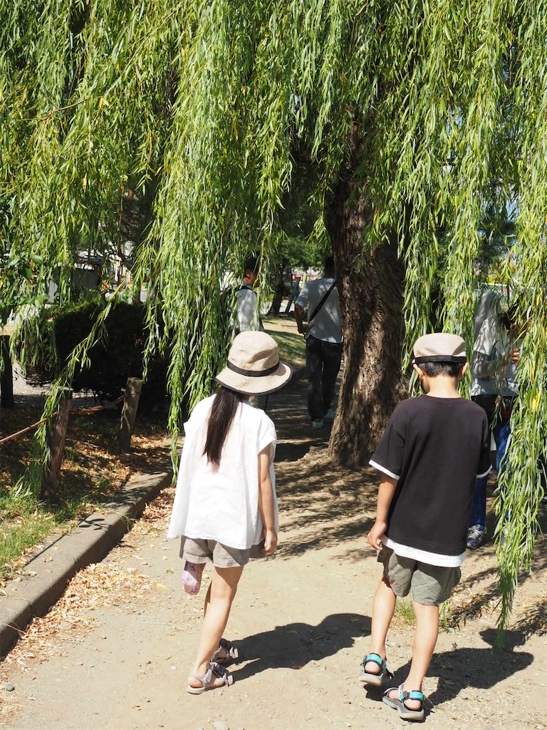 f:id:yukkocamp:20230812173346j:image