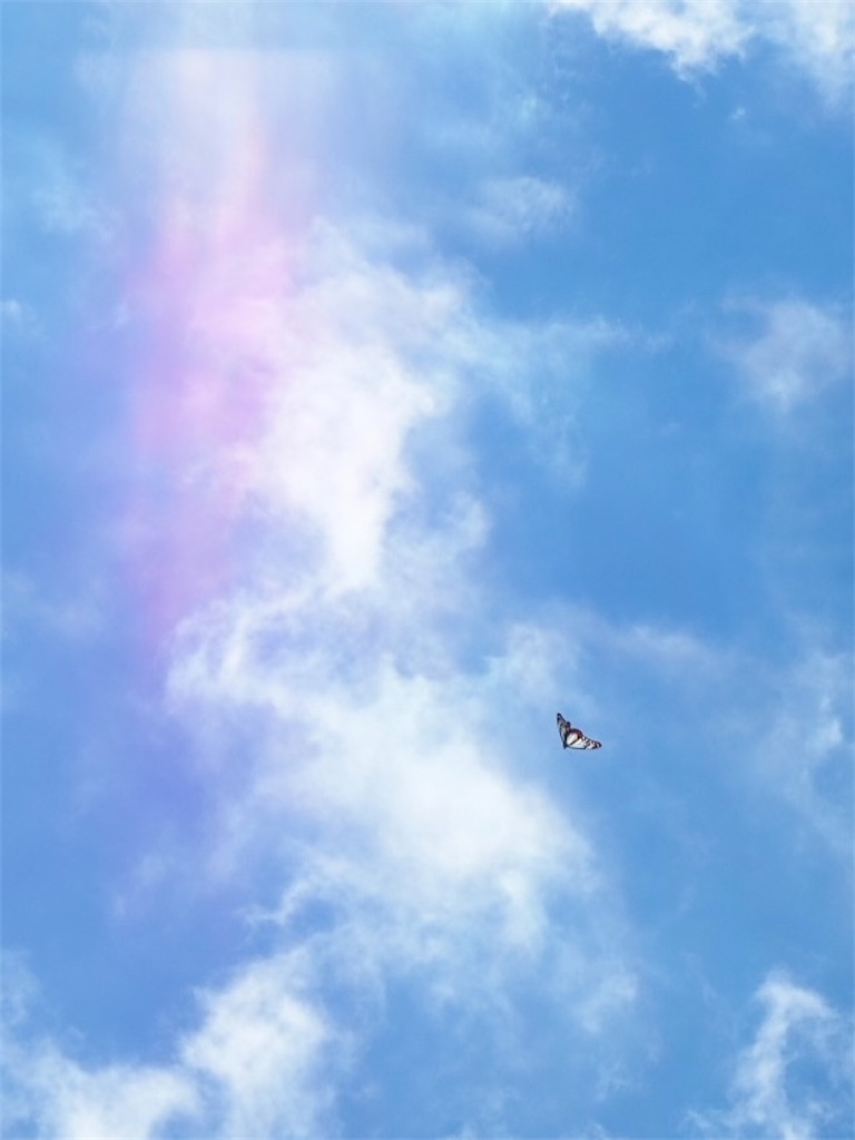 f:id:yukkocamp:20230815091252j:image