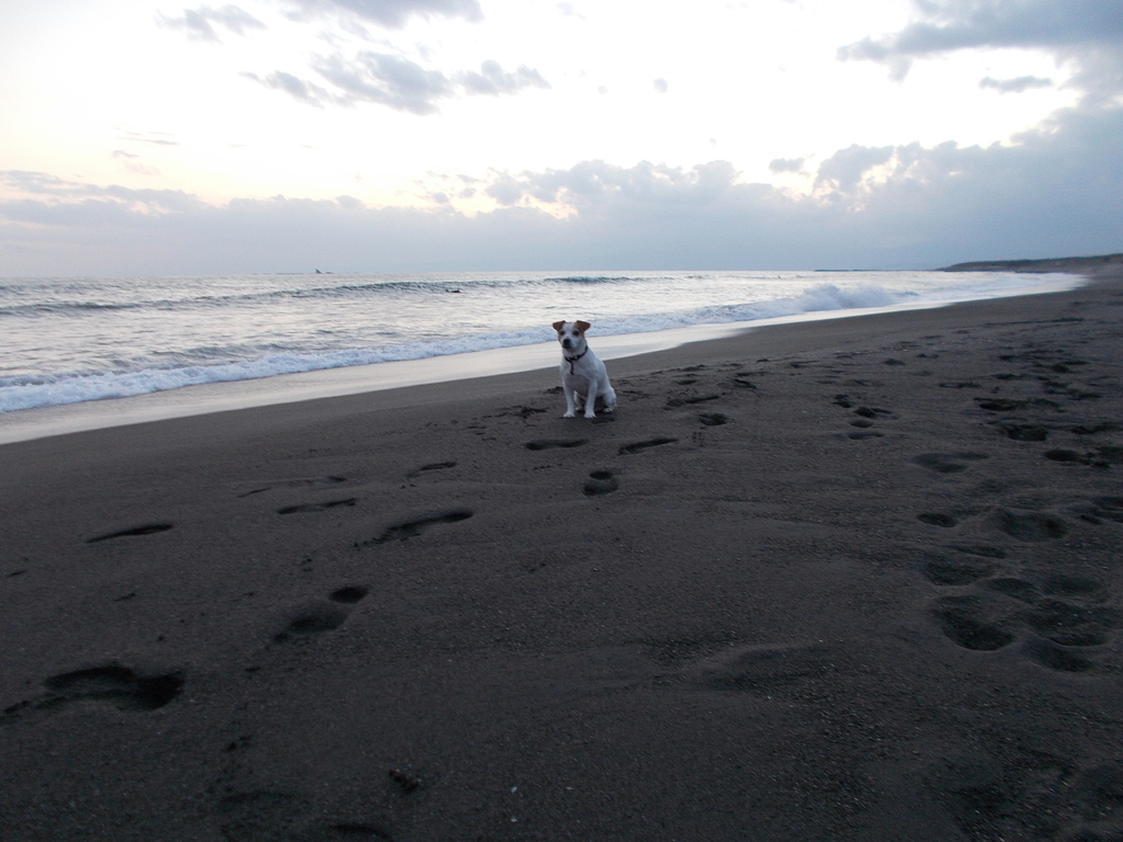f:id:yukkofuta1125:20181111172355j:plain f:id:yukkofuta1125:20181111172355j:plain