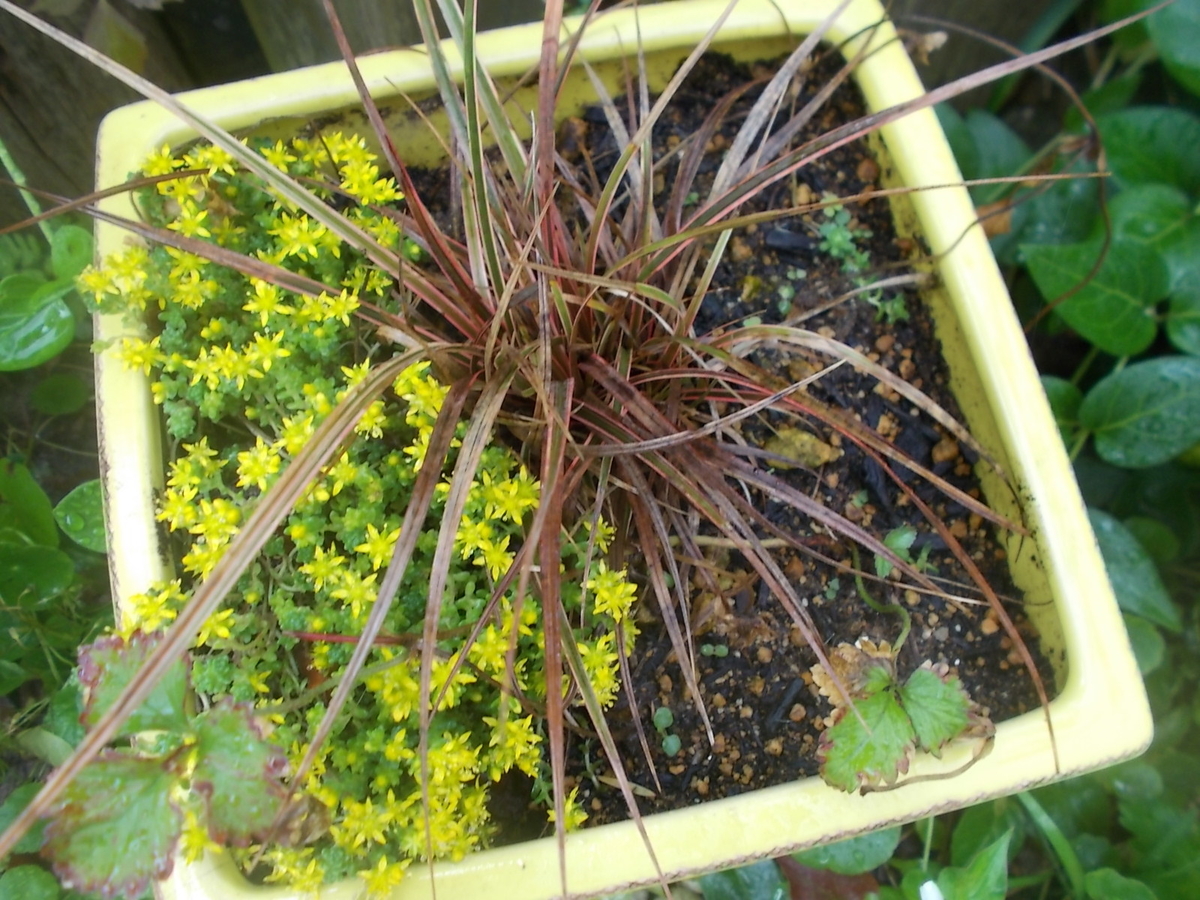 f:id:yukkofuta1125:20190611144128j:plain