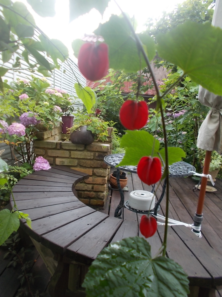 f:id:yukkofuta1125:20190611150048j:plain